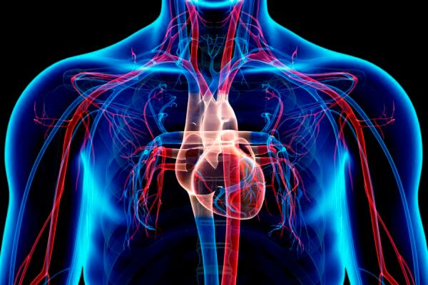 Biolog a Art culos Cient ficos CurioSfera Ciencia