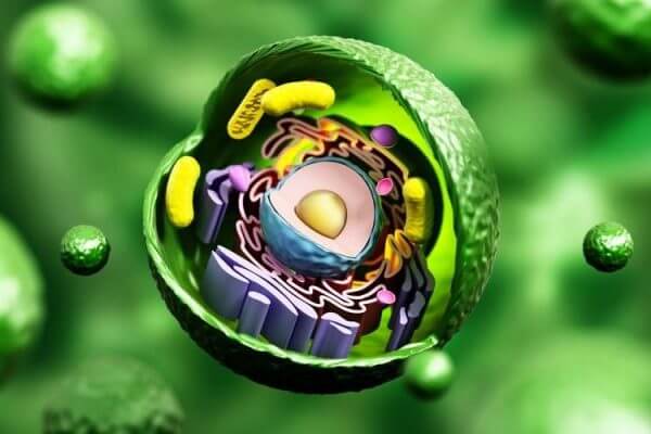 Biolog a Art culos Cient ficos CurioSfera Ciencia