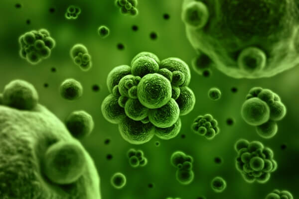 Biolog a Art culos Cient ficos CurioSfera Ciencia