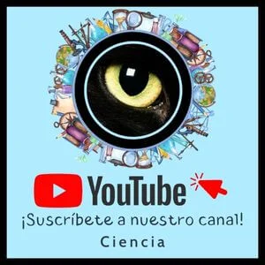 CurioSfera Ciencia Youtube